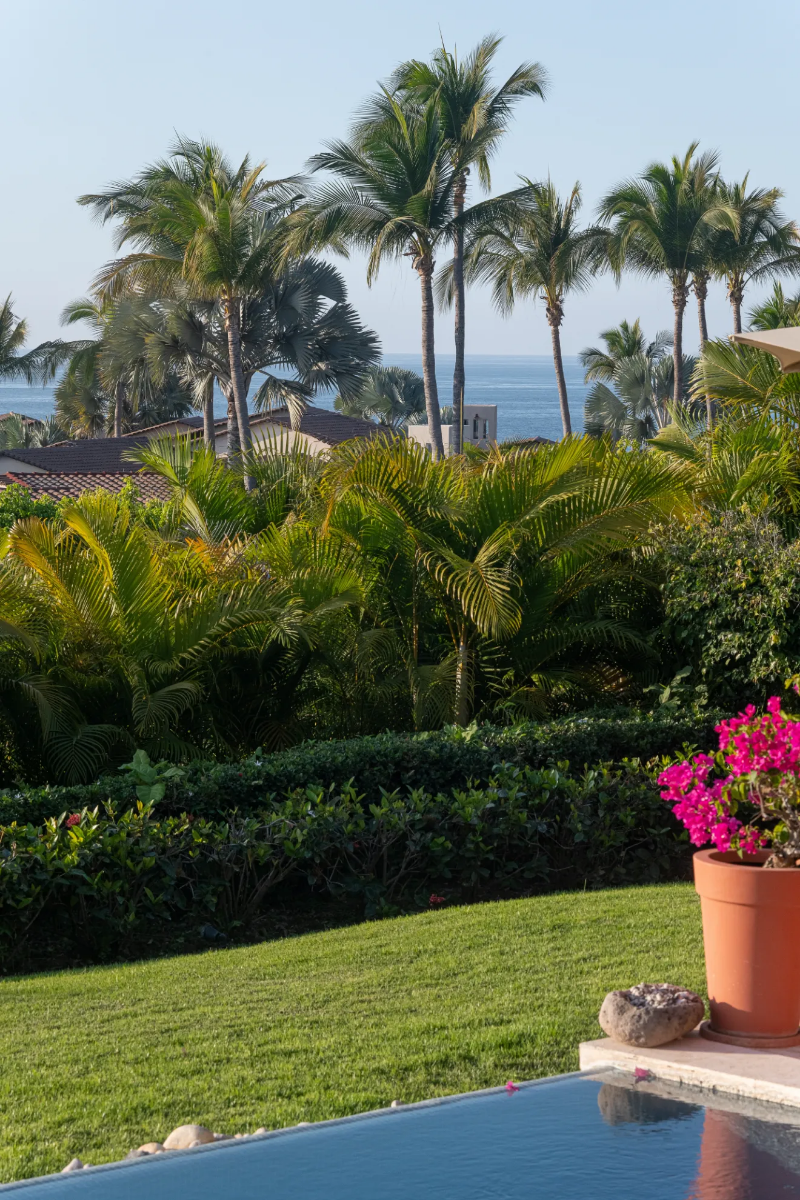 Picture of Villa Pelicanos