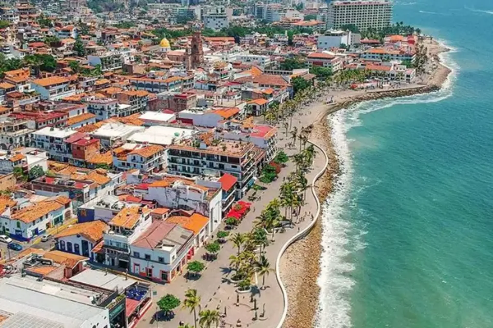 Hector Kitchens Fish Market Tour: A Culinary Adventure in La Cruz de Huanacaxtle