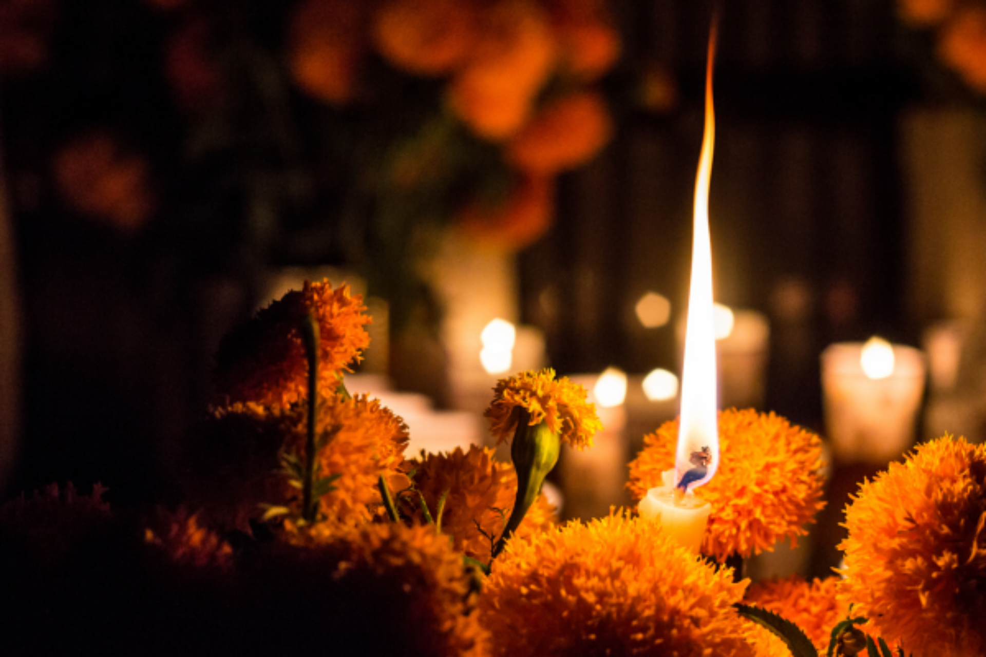 Honoring Our Traditions and the Memories That Stay With Us