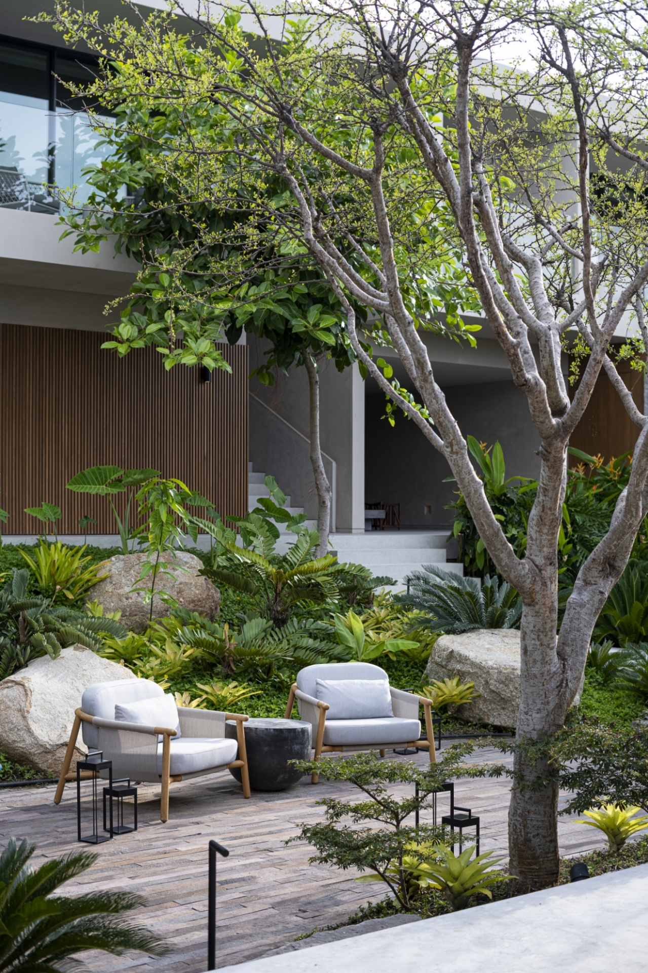 Picture of Bella Vils