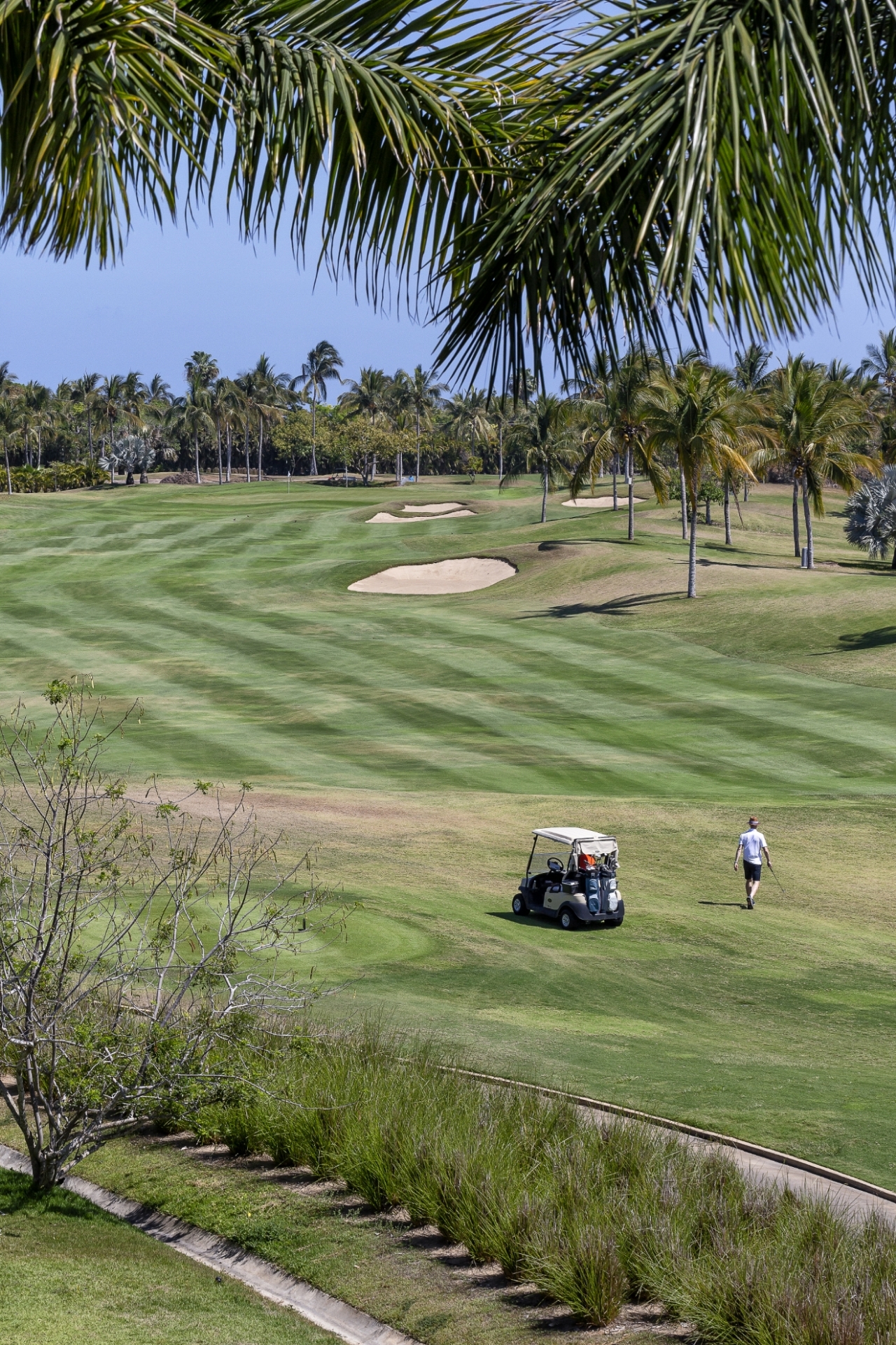 Picture of Casa Amanecer