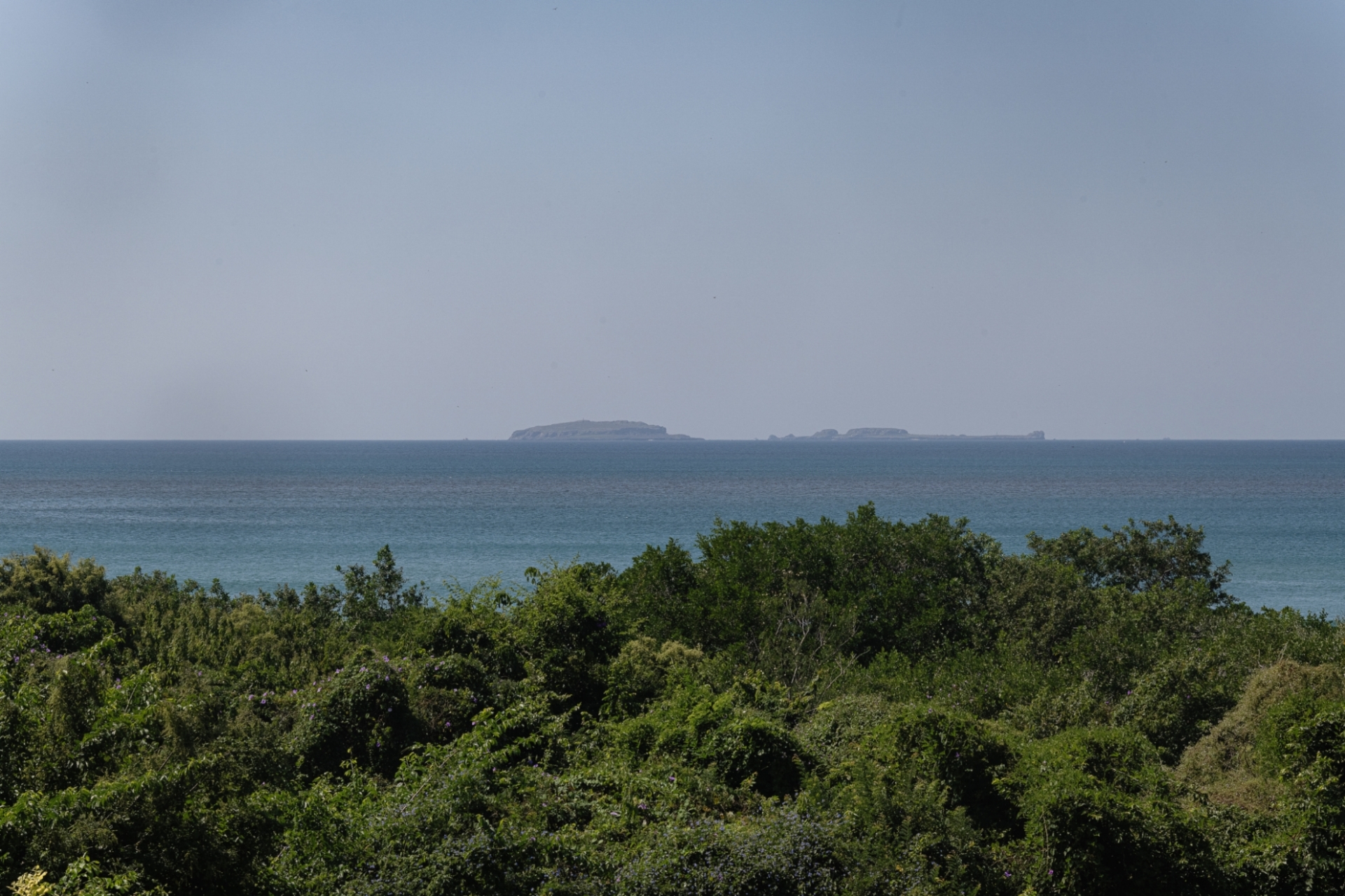 Picture of Condo Marea