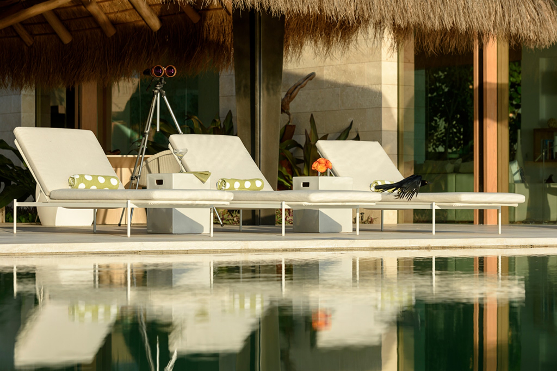 Picture of Villa Solaz