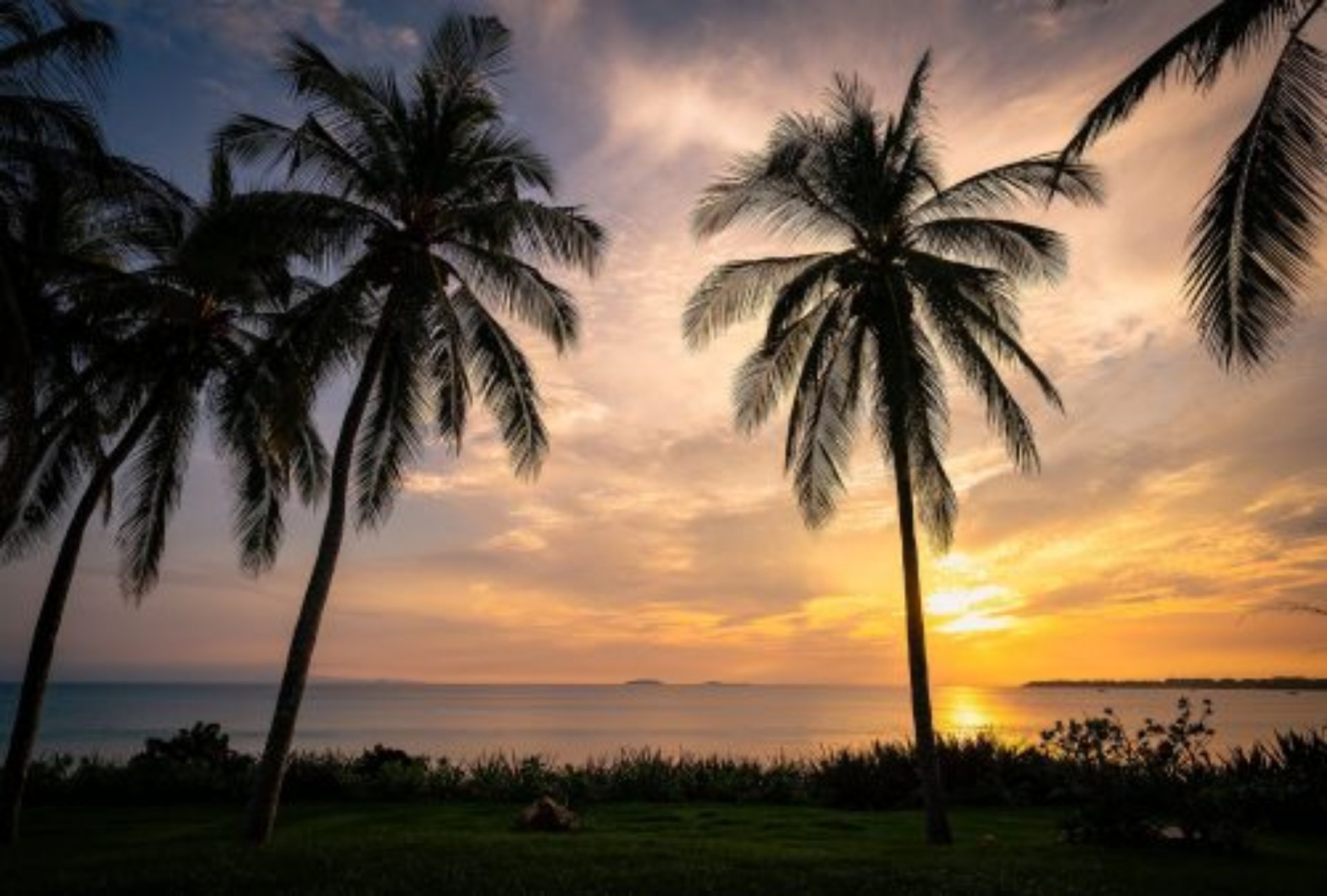 Picture of Casa Happy Paws