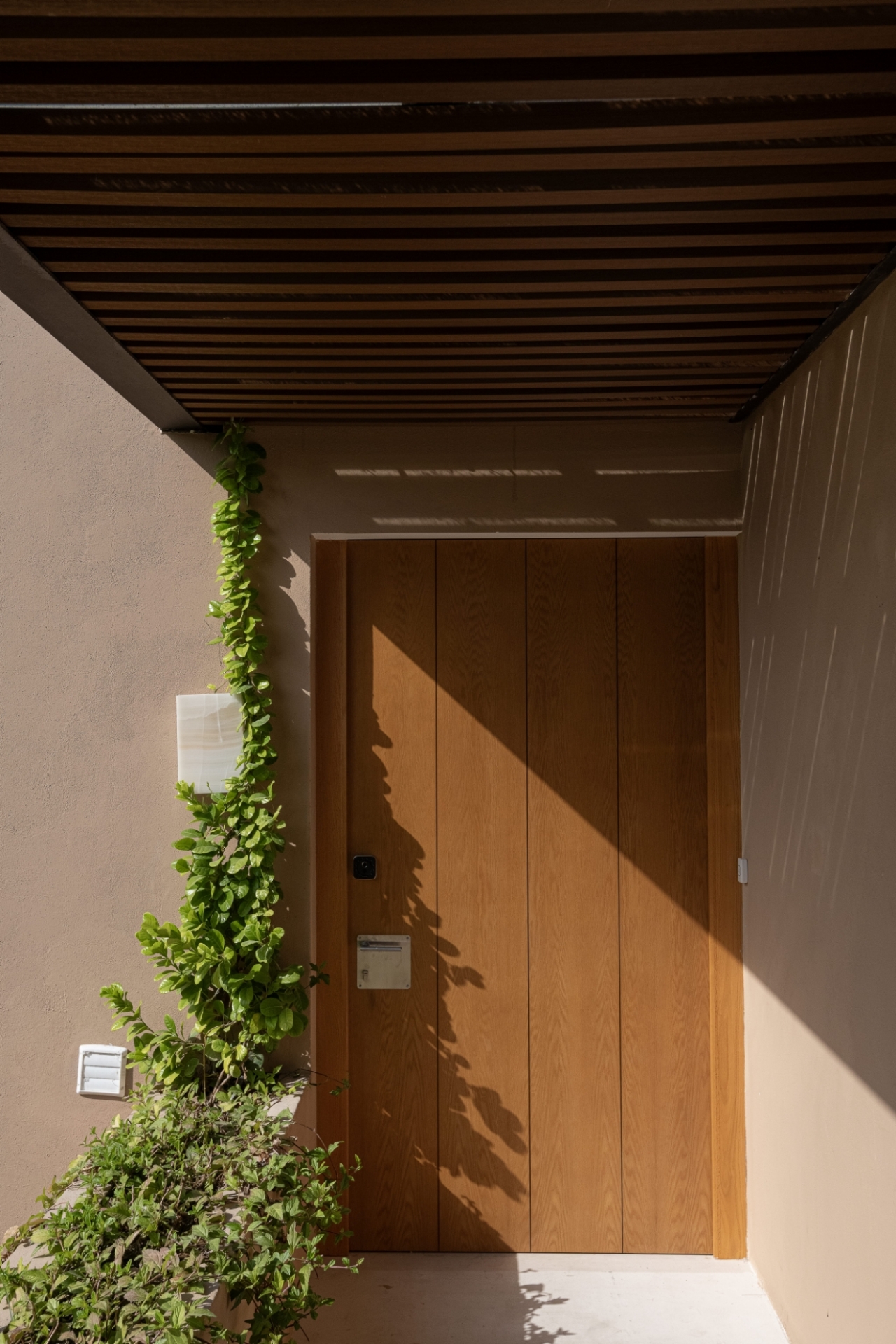 Picture of Villa Marbella