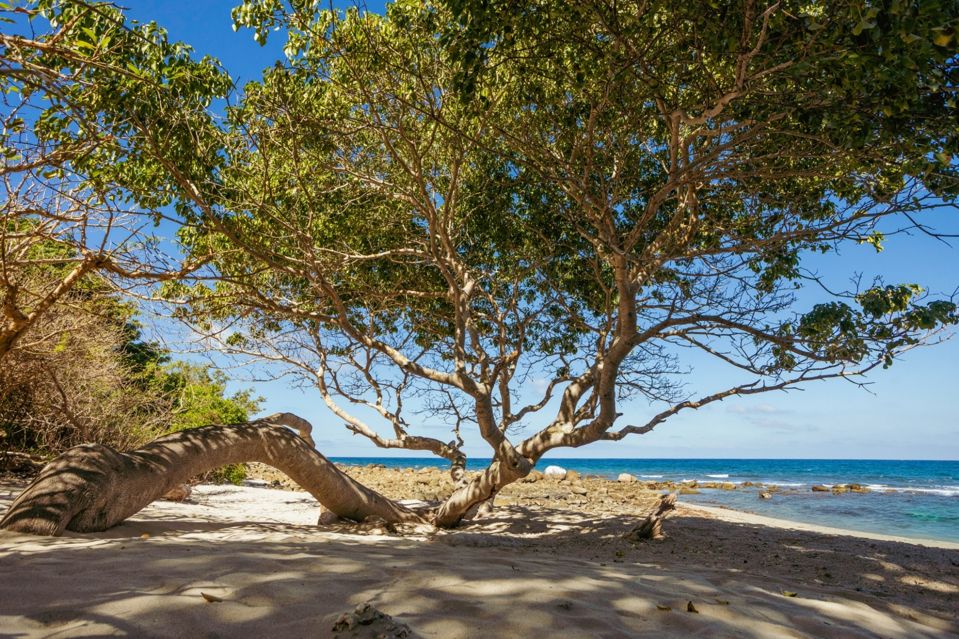 Picture of Casa Koko Iyari